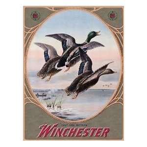  Winchester Guns Duck Hunting tin sign #937: Everything 