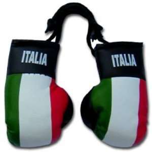  Italy Flag Mini Boxing Gloves: Sports & Outdoors