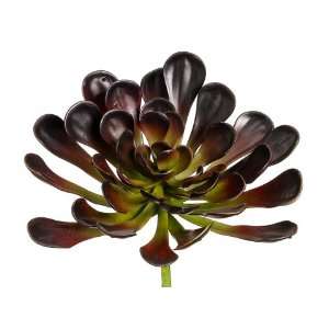  Faux 8.5 Aeonium Plant Burgundy Green (Pack of 6): Patio 