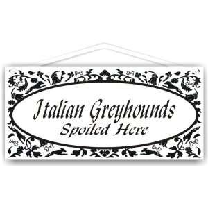  Italian Greyhounds Spoiled Here 