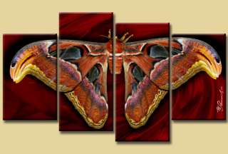 Schmetterling Bild Leinwand Insekten Tiere Wand Bilder 4260254417078 