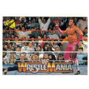   Beefcake vs. The Honky Tonk Man (WrestleMania IV):  Sports