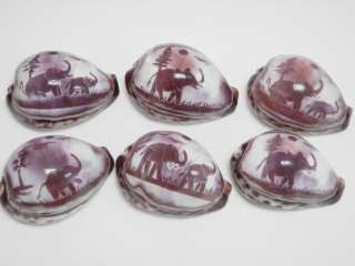 HAND CARVED ELEPHANT TIGER COWRIE SHELL 6 PCS #7448  