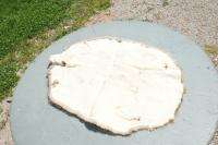 Nice Beaver pelt tanned hide/skin trapping/trapper fur  