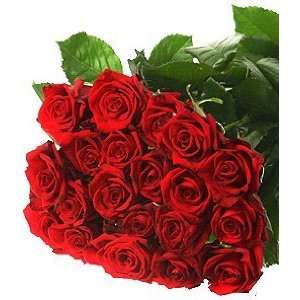     Schnittblumen   10 Stück rote Rosen   70cm!: .de: Garten