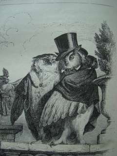   ANIMALI INCISIONI GRANDVILLE VIE DES ANIMAUX 1880