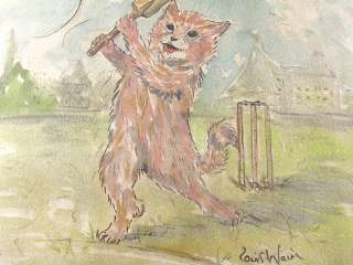 Cat Playing Cricket