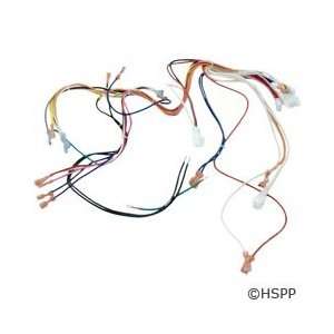 Hayward IDXLWHM1930 240 Volt Main Wire Harness Replacement for Hayward 
