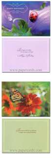 Natures Friends Boxed Birthday Cards 12 Greeting Cards  