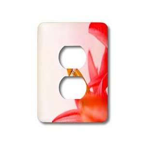 Yves Creations Wedding   Engagement Ring on Orange Red Flower   Light 