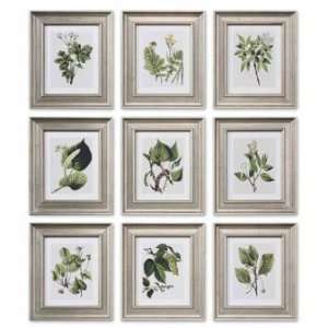  Uttermost Leaf Botanical Study Prints   Set of 9 