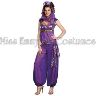 GENIE ARABIAN Nights Ladies Fancy Dress Hens Costume  