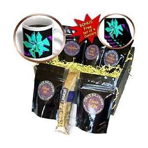    Christmas Poinsettia Flower In Blue Green   Coffee Gift Baskets 