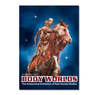 Body Worlds The Anatomical Exhibition of Real Human Bodies   DVD