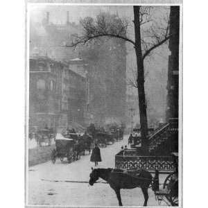   horse drawn carriages on New York City street,NY,1903,Alfred Stieglitz