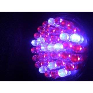 Acne Blue Red LED Light Therapy 38 LED Bulb for Treatment Acne and 