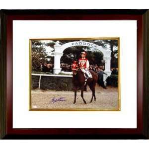 Seabiscuit signed Horse Racing Paddock from Seabiscuit Movie 16X20 