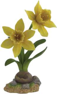 Garden Glories Daffodil Lk ANDREA SADEK  