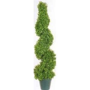   foot 3 inch Boxwood Spiral Topiary Tree in a Pot
