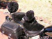 Harley Davidson sheep skin seat cover: Cruisers  