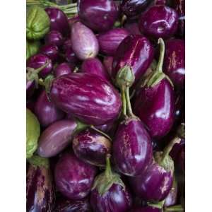  Purple eggplant, Seafront Market, St Paul, Reunion Island 