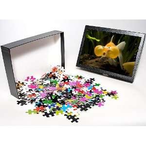   Jigsaw Puzzle of Aquarium Fish from Ardea Wildlife Pets Toys & Games