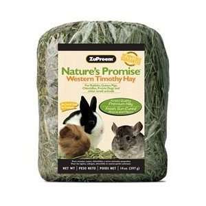   Promise Western Timothy Hay Small Animal Food 40 oz bag