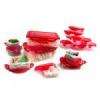 Lock & Lock BPA free Airtight Food Storage Containers 32 Pc Christmas 