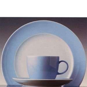  Rosenthal Sunny Day Pastel Blue 4 Piece Place Setting 