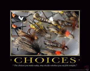 CHOICES FLY FISHING MOTIVATIONAL POSTER TROUT DENV34  