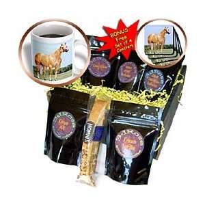Horse   Palomino Quarter Horse   Coffee Gift Baskets   Coffee Gift 