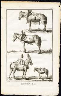   Prints SADDLER HARNESS MAKER HORSE MULE TOOLS Diderot Defehrt 1751