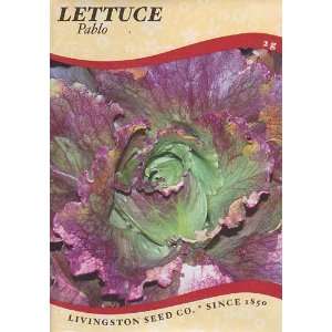  Pablo Lettuce Seeds   2 grams Patio, Lawn & Garden