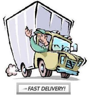 FAST & SPEEDY DELIVERY WORLDWIDE WITH PRIDE