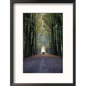 Two People Walking Amongst Tall Trees Collections Framed Photographic 